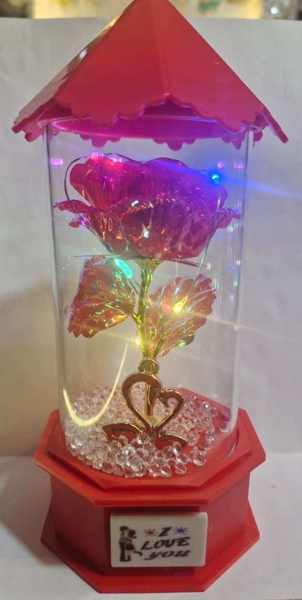 Gift For Couples With Music And Light